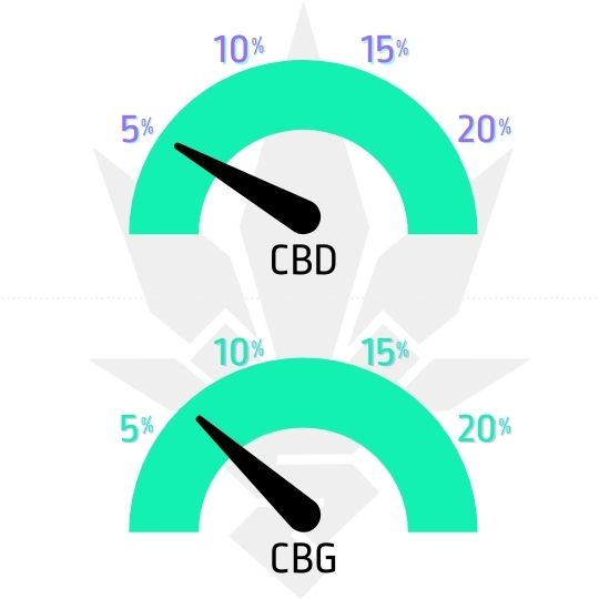 Royal CBG Automatic - samonakvétací semena - ukazatel CBD a CBG 